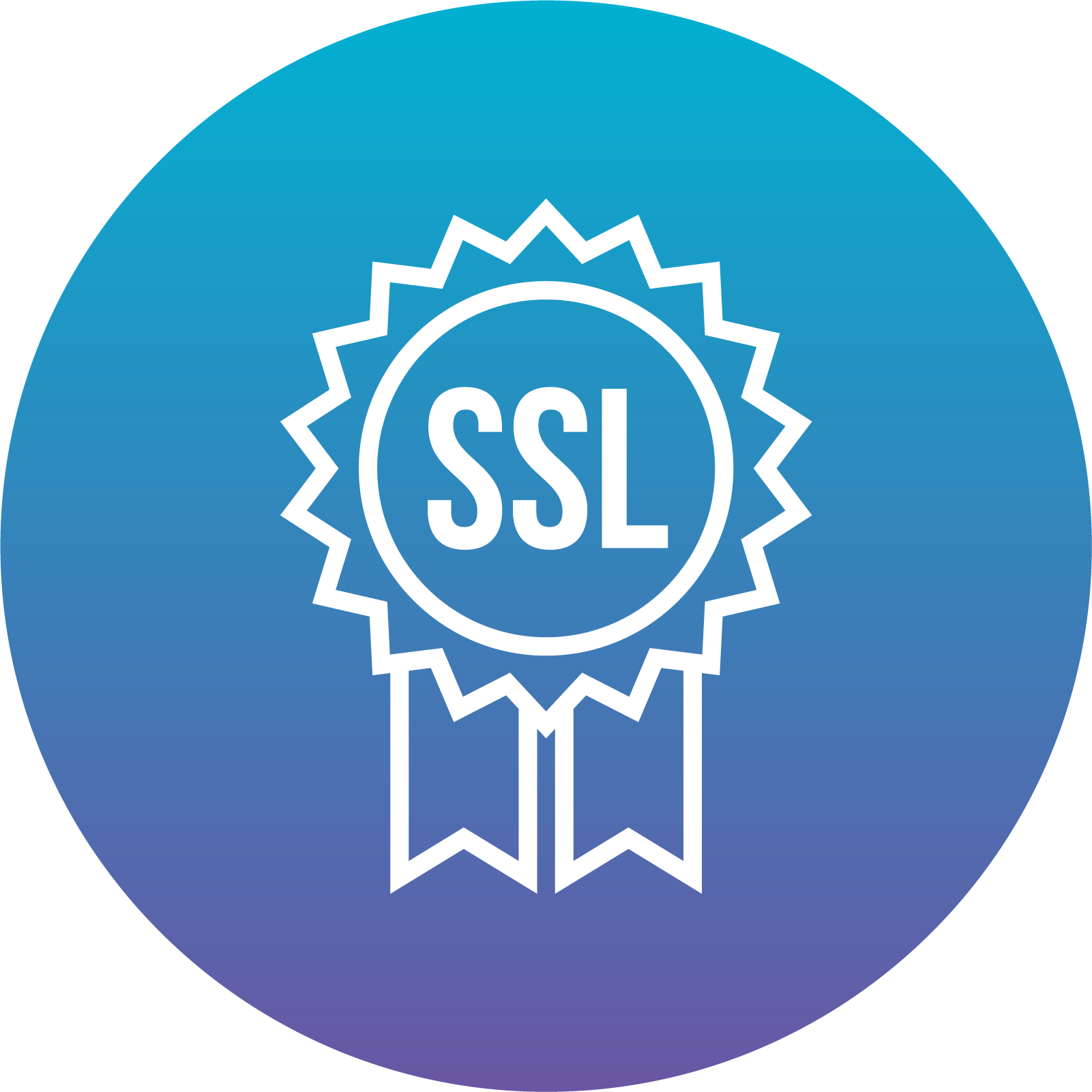 CERTIFICADO SSL_Mesa de trabajo 1